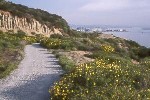 Bayside Trail